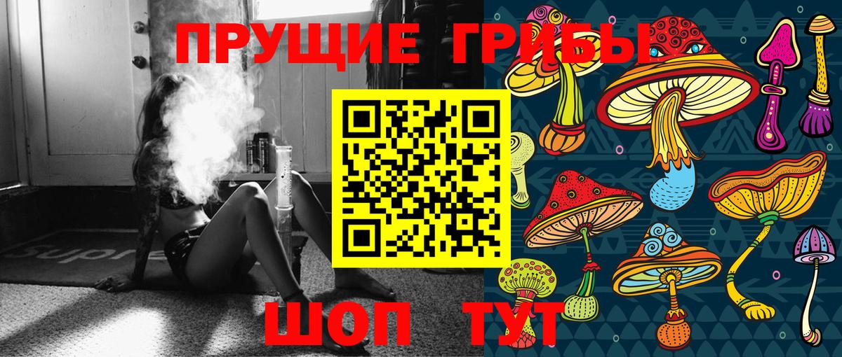 Галлюциногенные грибы GOLDEN TEACHER Хабаровск